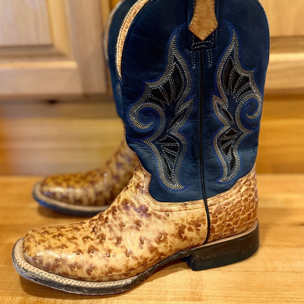 Vintage John B‎ Stetson Boots